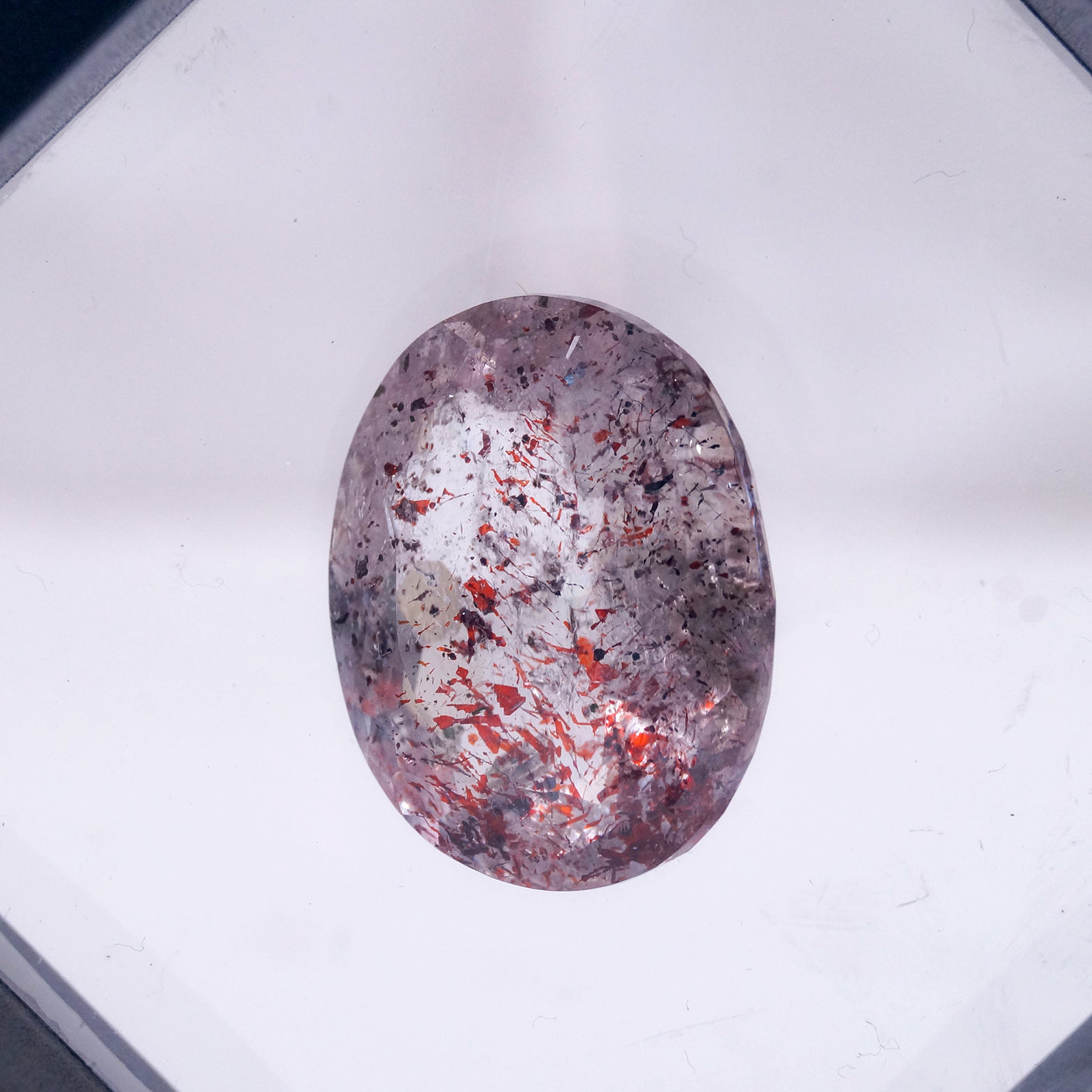 2026年 大開運福袋 【超七勢揃い スーパーセブン コンプリートセット】30万 限定1個