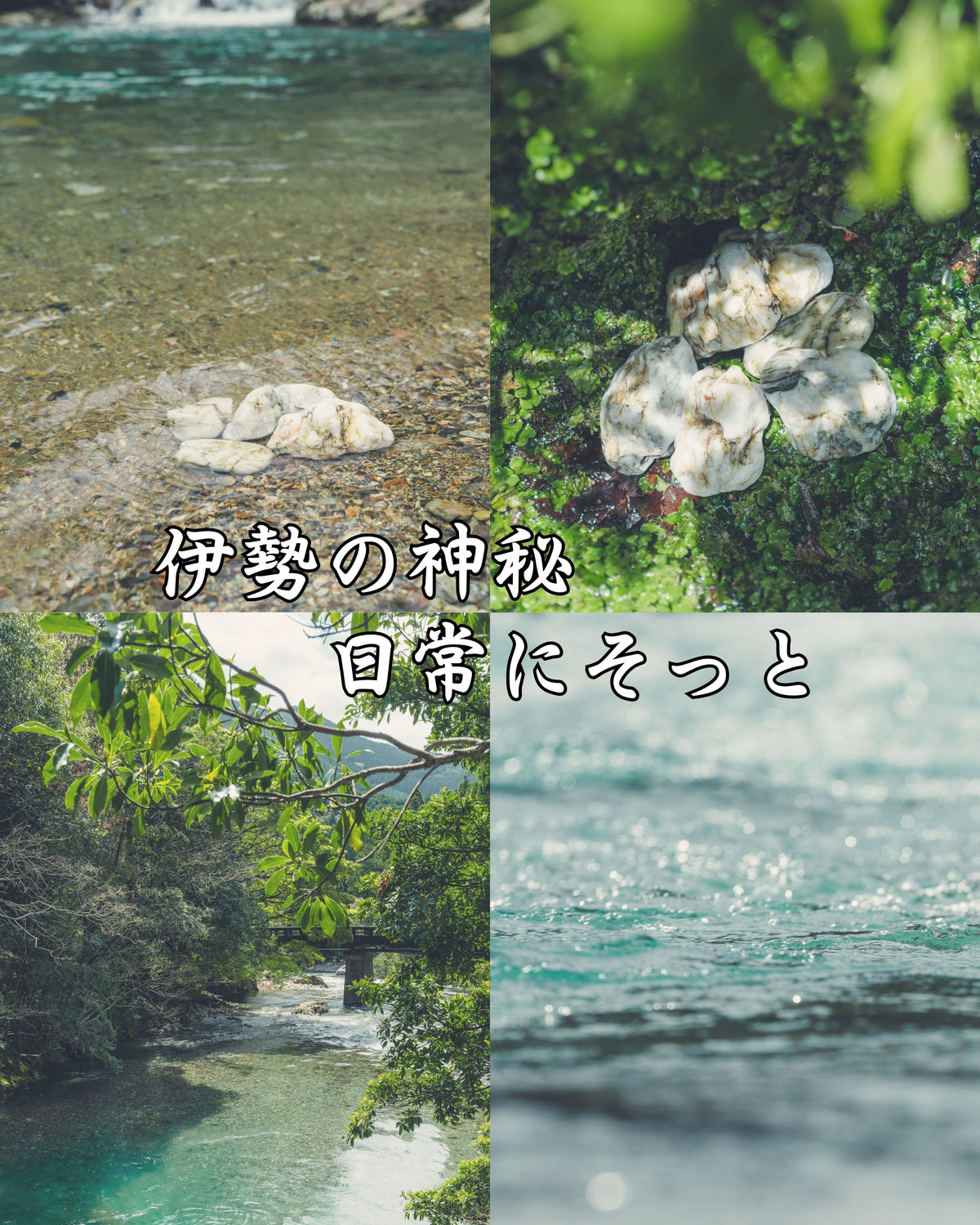 おいせ石特集