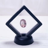 2026年 大開運福袋 【超七勢揃い　スーパーセブン コンプリートセット】30万　限定１個