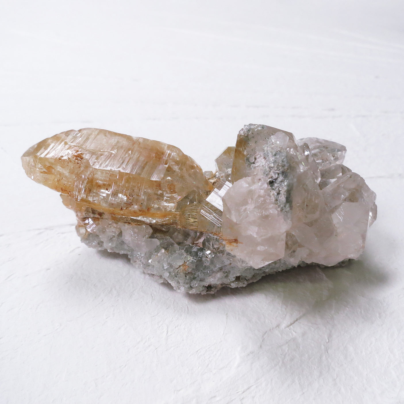 2026年 大開運福袋 【超希少！　レアルチル プレミアムコンプリートセット】50万　限定１個