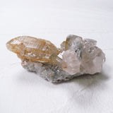 2026年 大開運福袋 【超希少！　レアルチル プレミアムコンプリートセット】50万　限定１個