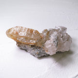 2026年 大開運福袋 【超希少！　レアルチル プレミアムコンプリートセット】50万　限定１個