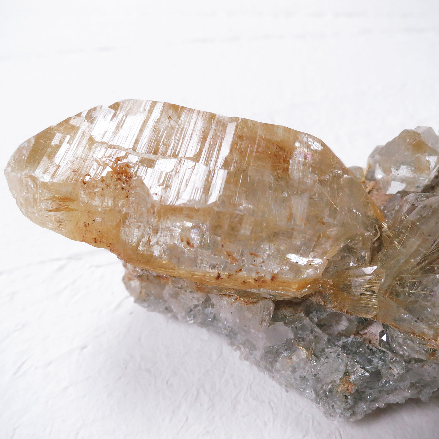 2026年 大開運福袋 【超希少！　レアルチル プレミアムコンプリートセット】50万　限定１個