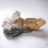 2026年 大開運福袋 【超希少！　レアルチル プレミアムコンプリートセット】50万　限定１個