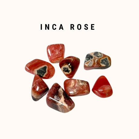 【単品】ポリッシュタンブル（インカローズ）