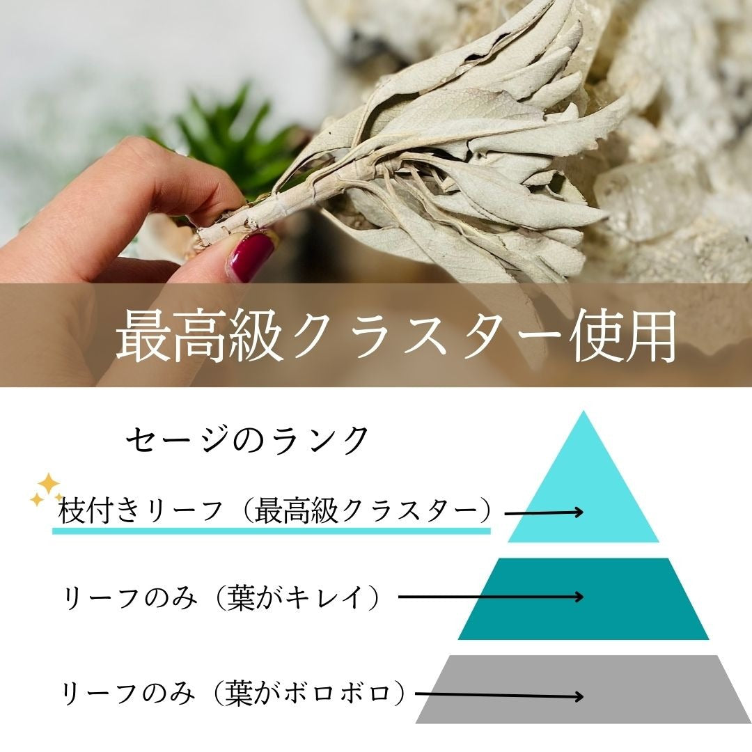 ホワイトセージ - 浄化用お香23g - 単品売り - ストーンマーケット