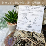 ホワイトセージ （浄化用お香）約23ｇ
