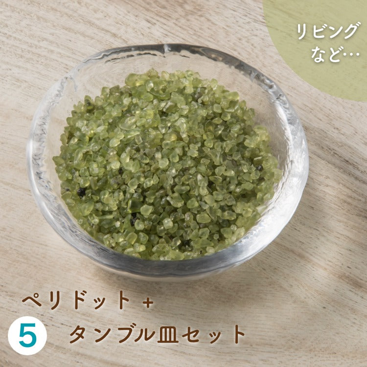 天然石の効果をリフレッシュ！【2点セット】5種類から選べる浄化セット（タンブル皿）★浄化チップス + 浄化皿のセット