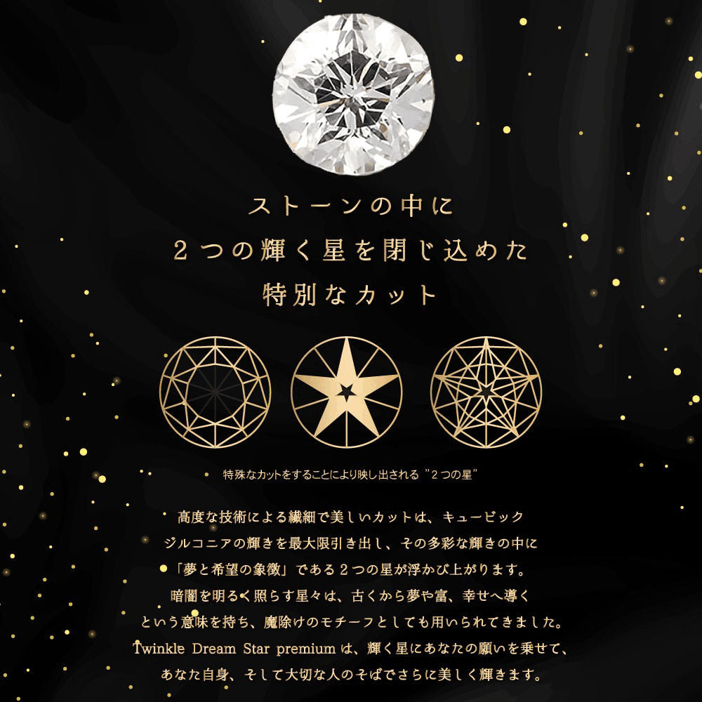 【ヒカルモデル】【限定品】【ネックレス】Twinkle Dream Star premium