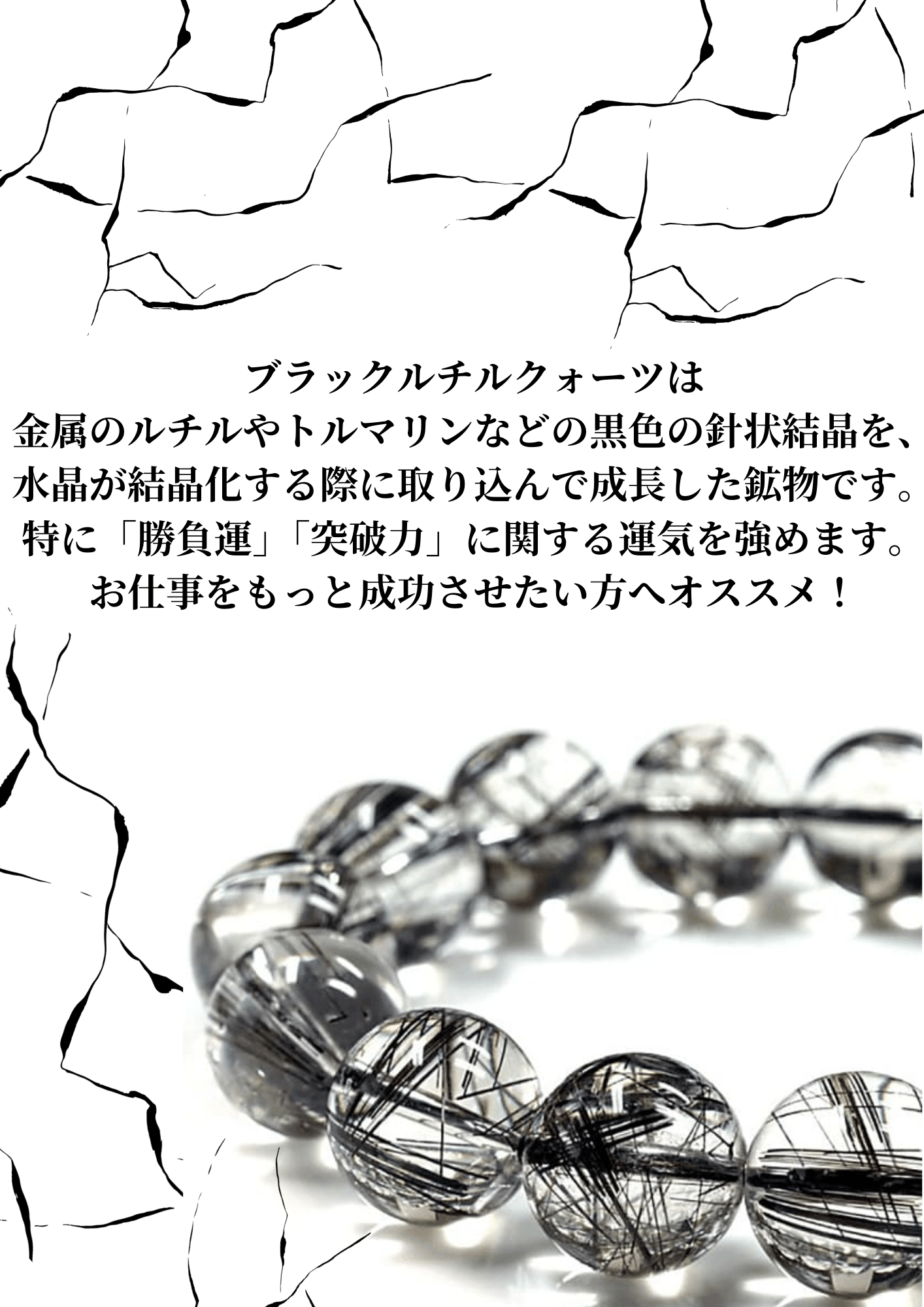 ブラックルチル カメ カービング レッドルチル ブラックルチル（黒針